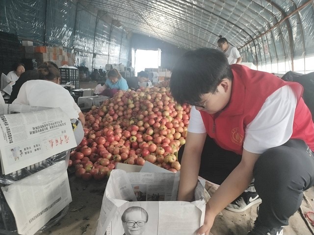 【三下乡】扶农助农 开拓农产品销售新思路