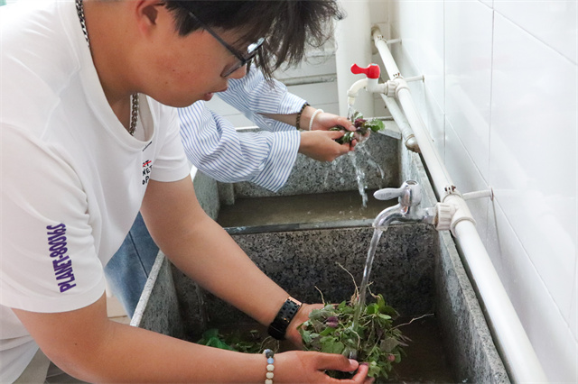 【1+1>2】微风吹来野菜香 勤奋劳动最光荣——箕城书院联合食品与环境学院联合举办第一届“野菜节”系列活动