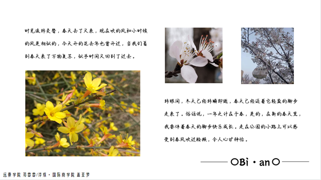 不负春光 野蛮生长 ——无边书院Bi•an展览第四期:“春日来信”摄影展
