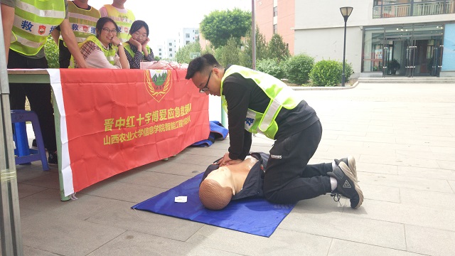 看无边“繁”花锦簇 基础聚焦工作坊