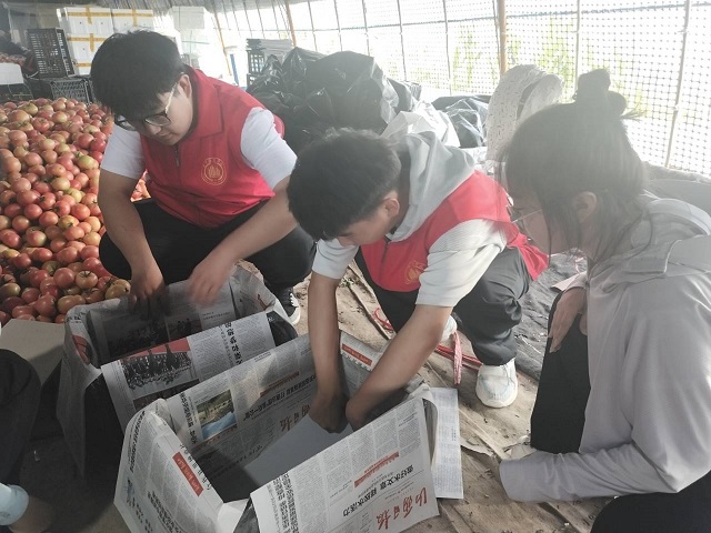 【三下乡】扶农助农 开拓农产品销售新思路