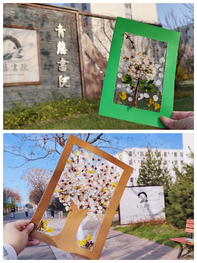 用爱与花 治愈春天里的“你”——青藤书院举办朋辈互动系列活动