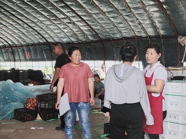 【三下乡】扶农助农 开拓农产品销售新思路