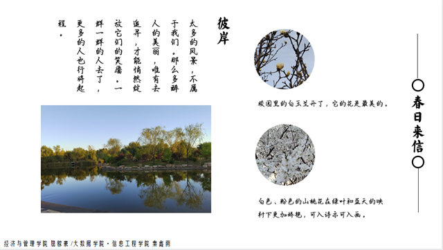 不负春光 野蛮生长 ——无边书院Bi•an展览第四期:“春日来信”摄影展