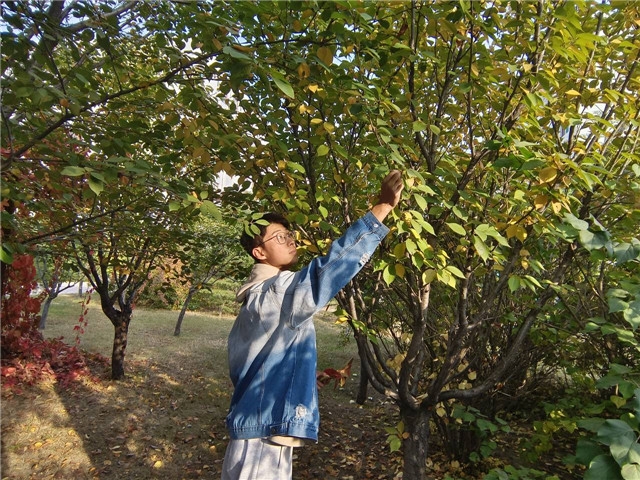 绘秋 书院导师带你诠释落叶之美——青藤书院举办“理想的下午”系列活动第110期