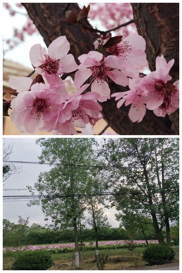 书院青春工作坊第4期：主宰时代潮流 彰显青春色彩