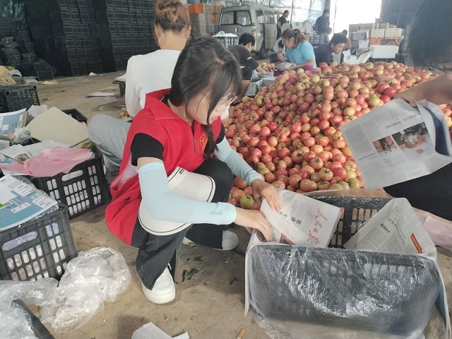 【三下乡】扶农助农 开拓农产品销售新思路