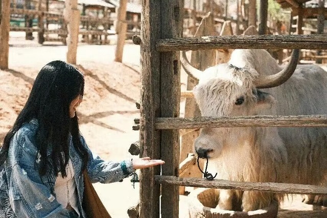 挥旗向远方 祖国大好河山 我们来了——欢度国庆 畅游美景 国庆旅行Vlog剪辑