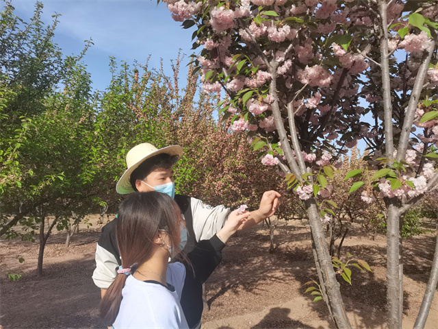 书院学子农耕忙 劳动教育促成长