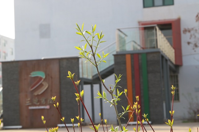 前行第176期:春暖花开 与你共赏书院美景