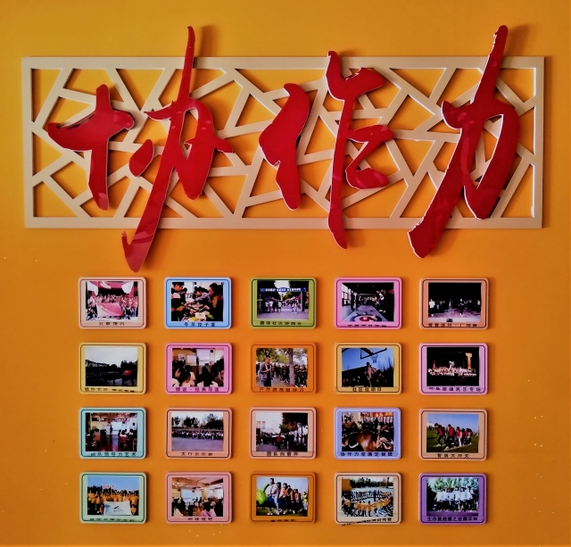 【书院传真】太行书院2021年11月特色亮点活动回顾