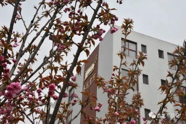 师生共话 搭建温馨“家园”——杏花书院举办杏花夜话第三期:导师开放日