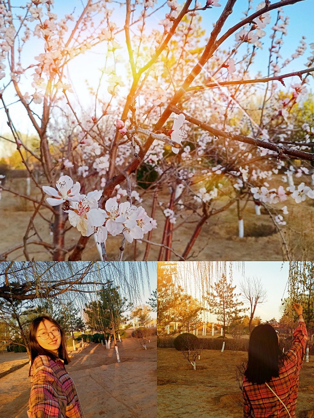 百花争艳 春意盎然——“青春记”微拍活动之春天,你好