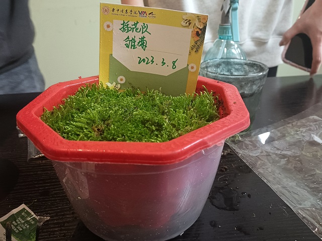 【书院传真】百变女生 我就是我——太行书院之社区“节日加点料”系列活动