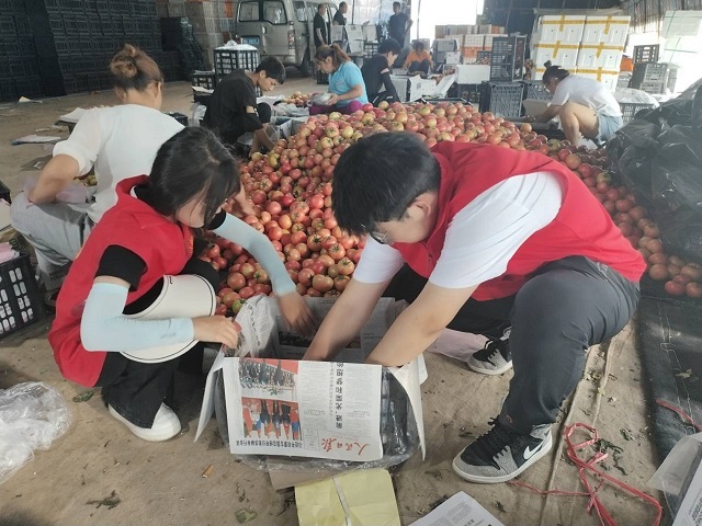 【三下乡】扶农助农 开拓农产品销售新思路