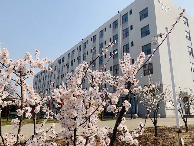 前行第176期:春暖花开 与你共赏书院美景
