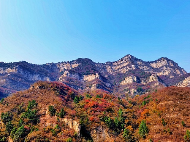 活“九”见(第99期):太行山 永不失生命活力的“空中家园”