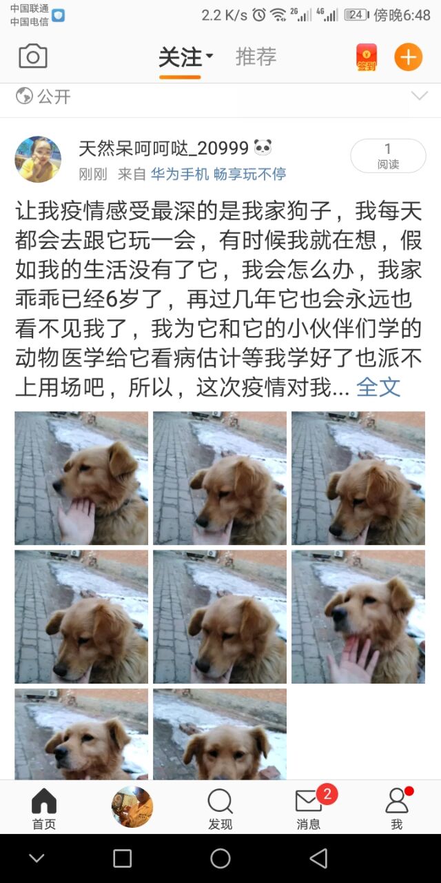 春暖花开日 樱花烂漫时——无边书院Fun课补习所•灵魂升华第2期活动