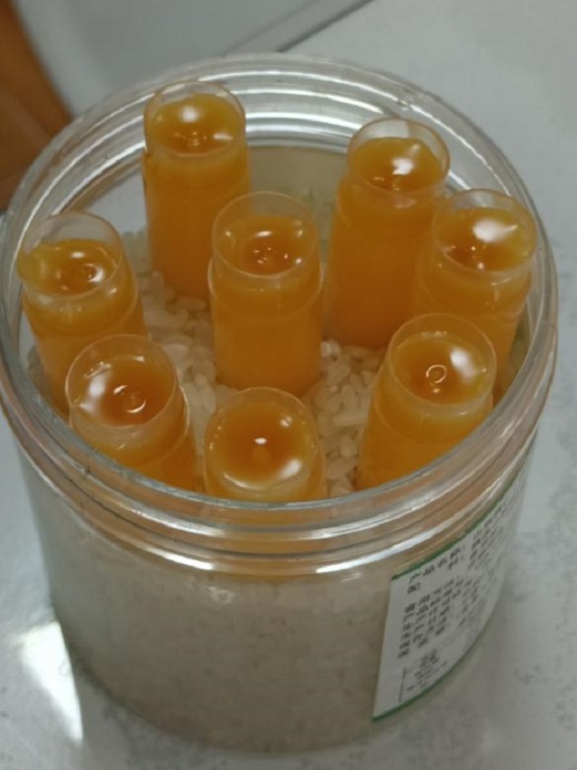 自制唇膏 装点靓丽冬日——青藤书院全生异科导师说