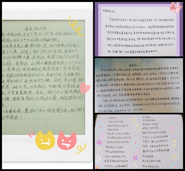 是最真挚的文字 是最温暖的情谊——杏花情语第十二期