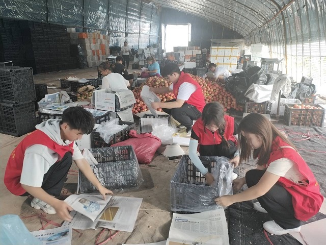 【三下乡】扶农助农 开拓农产品销售新思路