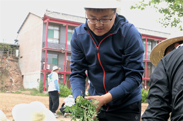 【1+1>2】“勤”春不打烊:野菜与劳作的硬核联动