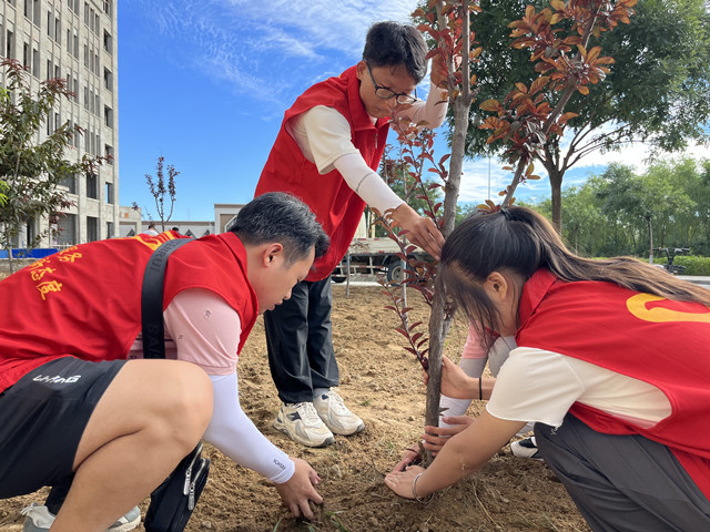 【三下乡】在沙漠种下一棵梭梭树 拯救10平方米荒漠——白燕书院同心燃梦乡村振兴促进团“三下乡”活动