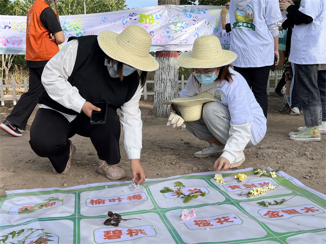 书院学子农耕忙 劳动教育促成长