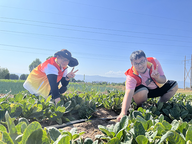 【三下乡】“乡”约盛夏“河”你同“兴”乡村振兴促进团实践纪实——上河书院“三下乡”社会实践活动