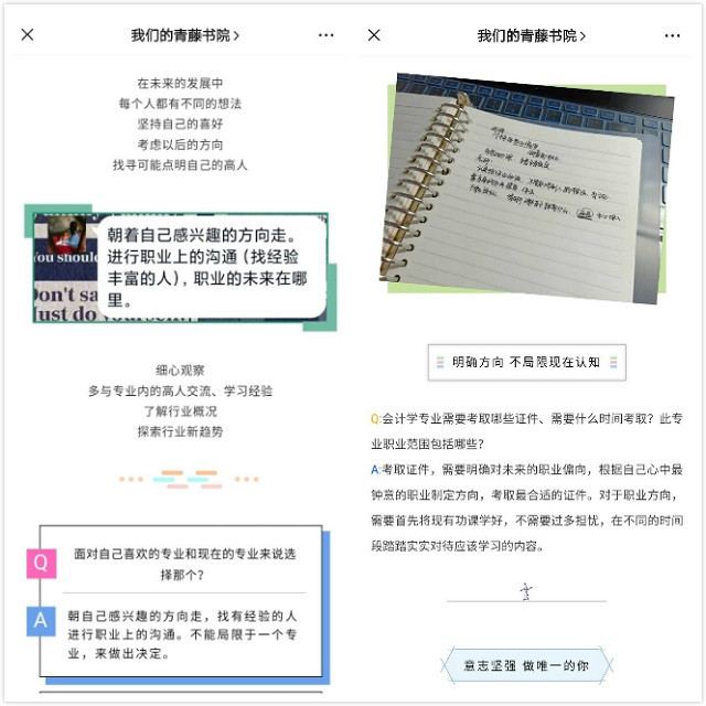 【1+1>2】明确职业方向 在清晰定位中把握就业趋势——青藤&双体助力大学生职业规划